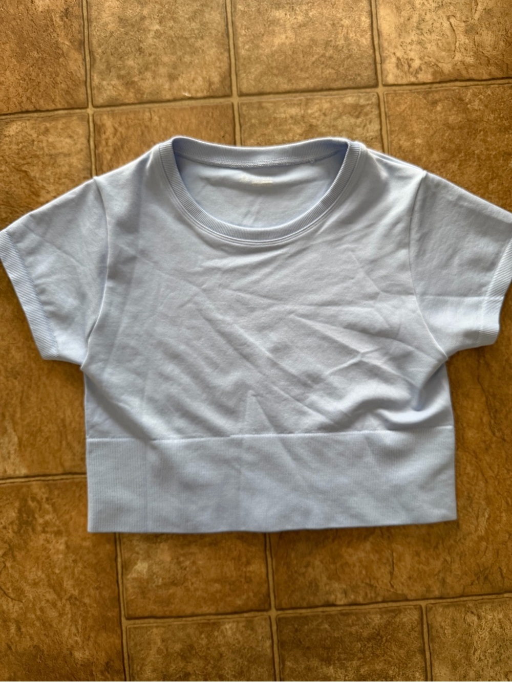 aerie Pale Blue Short-Sleeve Crop Top
